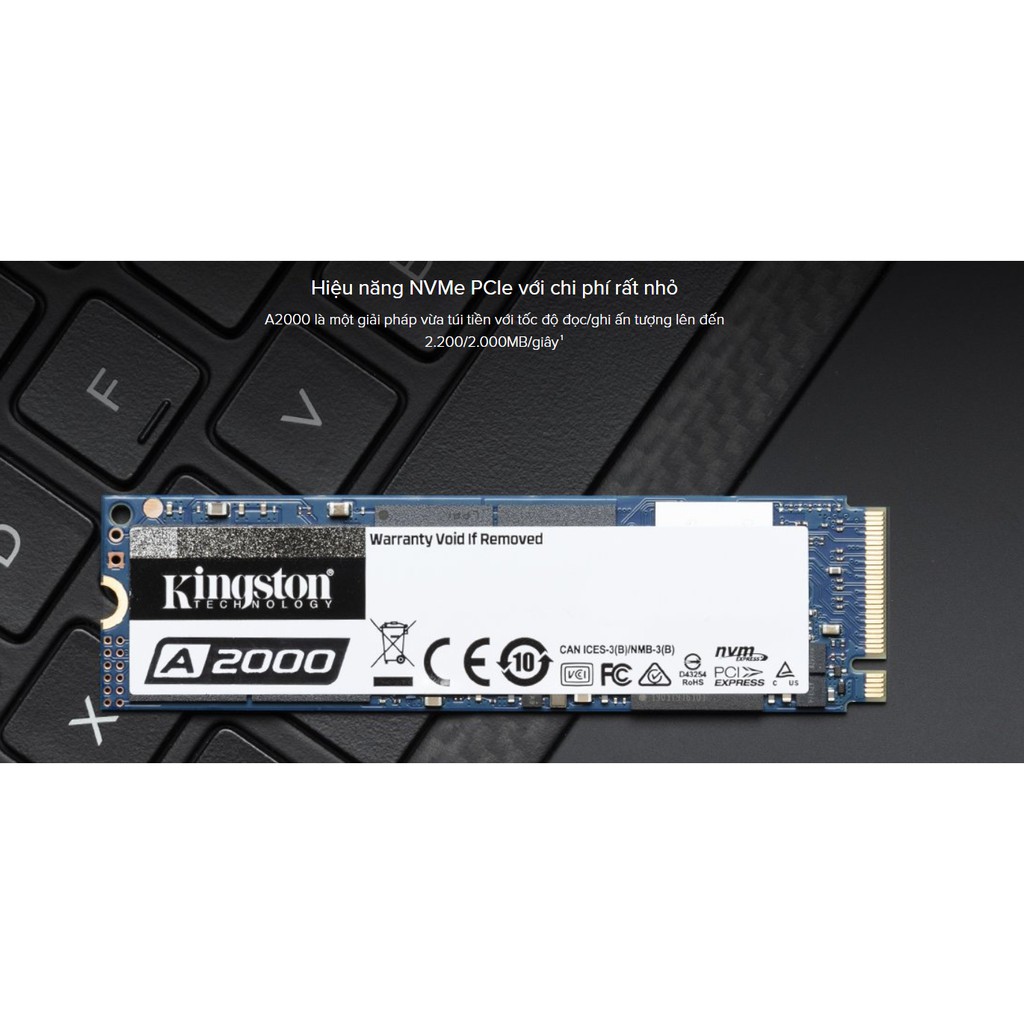 SSD M2 Kingston  120GB/250GB NVMe PCIe Gen3 X4 Chính Hãng