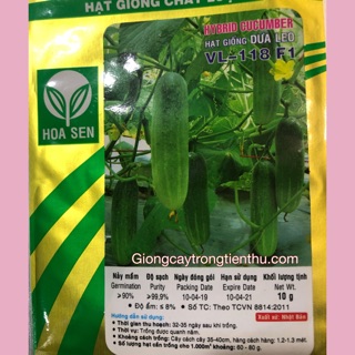 HẠT GIỐNG DƯA LEO VL-118 F1- GIỐNG CHỊU NHIỆT ,NĂNG XUẤT CAO