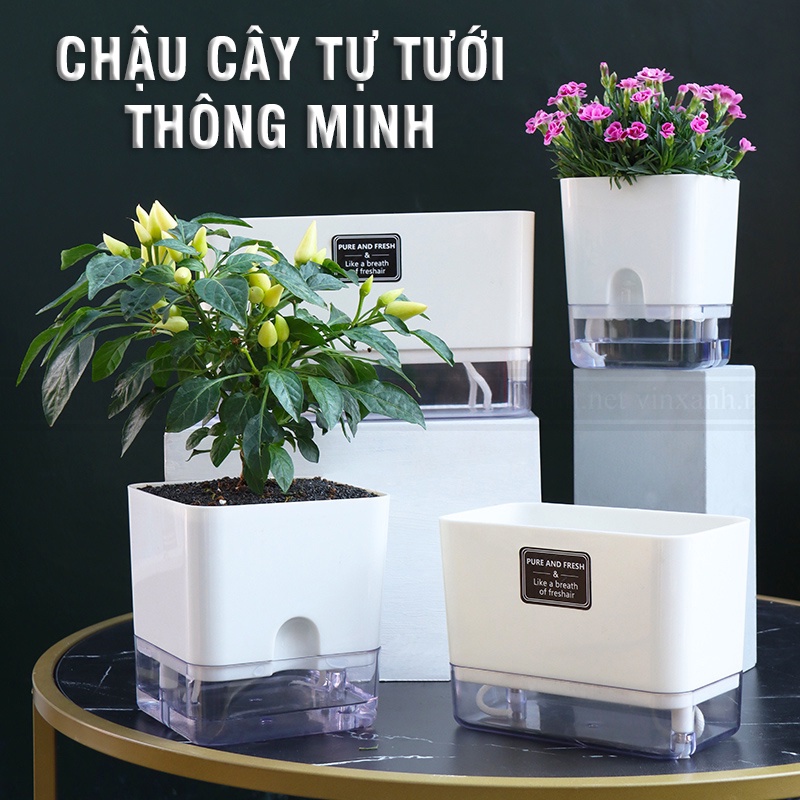 Chậu trồng cây thông minh để bàn 2 lớp nhựa cao cấp/ chậu tự tưới/ tự dưỡng không cần tưới nước 11-23cm