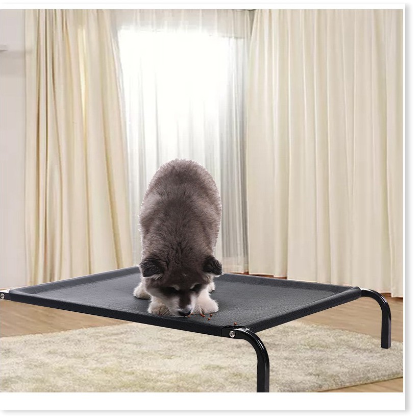 [Mã giảm giá tích lũy]  - Giường chó mèo khung sắt chịu lục có thể gấp gọn loại có lưới thông thoáng cho chó mèo và các