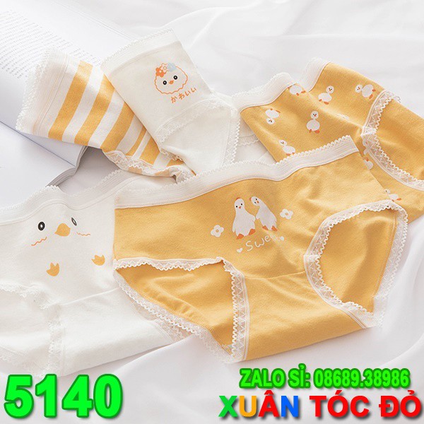 SỈ ZALO RẺ HƠN NHIỀU_ Quần Lót 5 Kiểu Gà Vàng Mới 5140