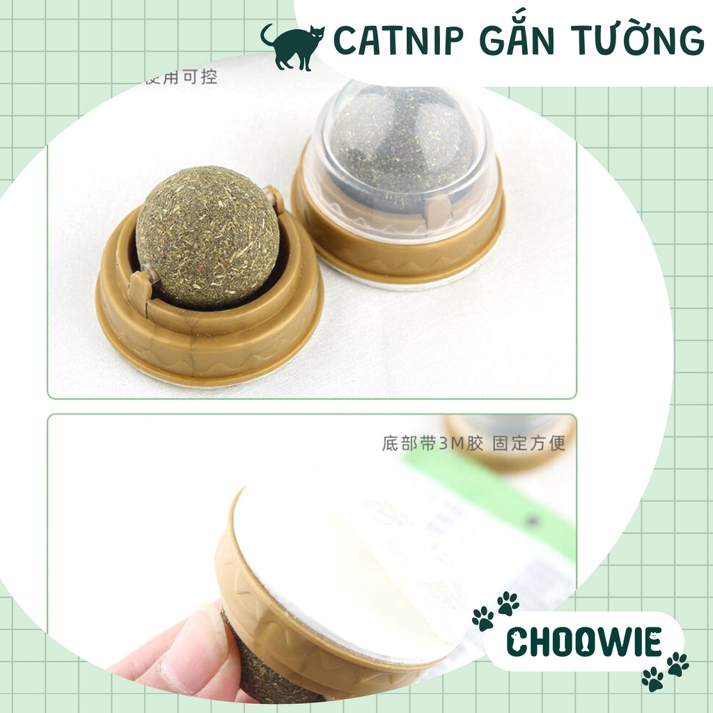 Cỏ mèo dán tường Catnip mèo đồ chơi cho mèo giúp mèo xả stress Choowie Pet Shop