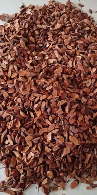 Mú từn _ Cù boong lậu [500g] tăng cường sinh lí