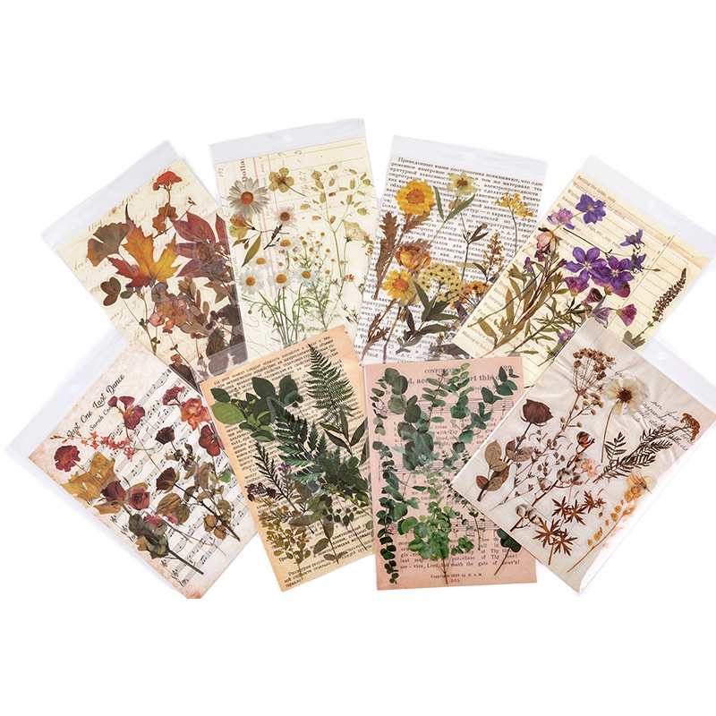 Sticker vintage dán sổ mẫu hoa khô HD220-K56 DIY Crafts, Scrapbook, Journal, Diary, Planner, Wal Seal Ect