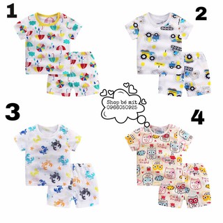 COTTON SỢI TRE XUẤT HÀN