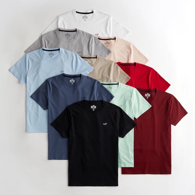 Áo thun Hollister màu trơn thêu logo Icon Crew T-Shirt  - Chypshop vnxk