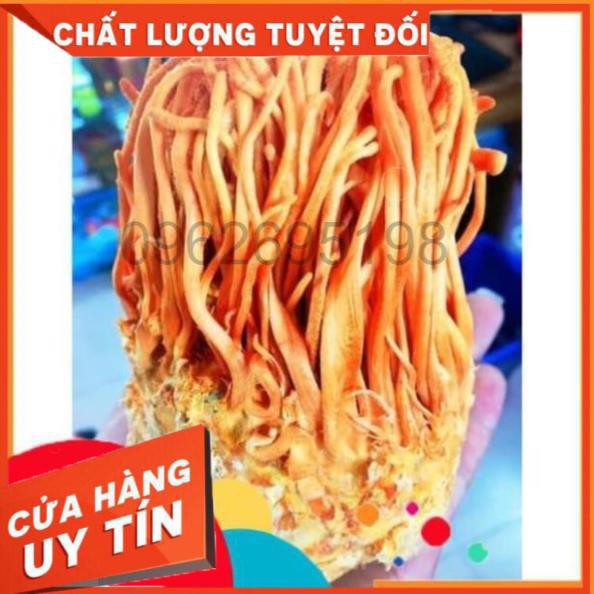 GIÁ SỐC: 1 hộp Hoa Đông Trùng Hạ Thảo Hàn Quốc Dạng Khô 45G