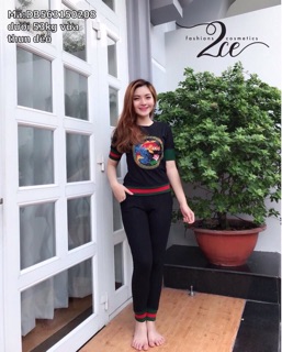Set bộ cao cấp giá rẻ