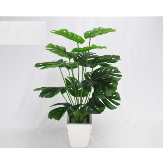 Cây lá rùa giả phù hợp decor trong và ngoại nội thất, lá to cao 50cm