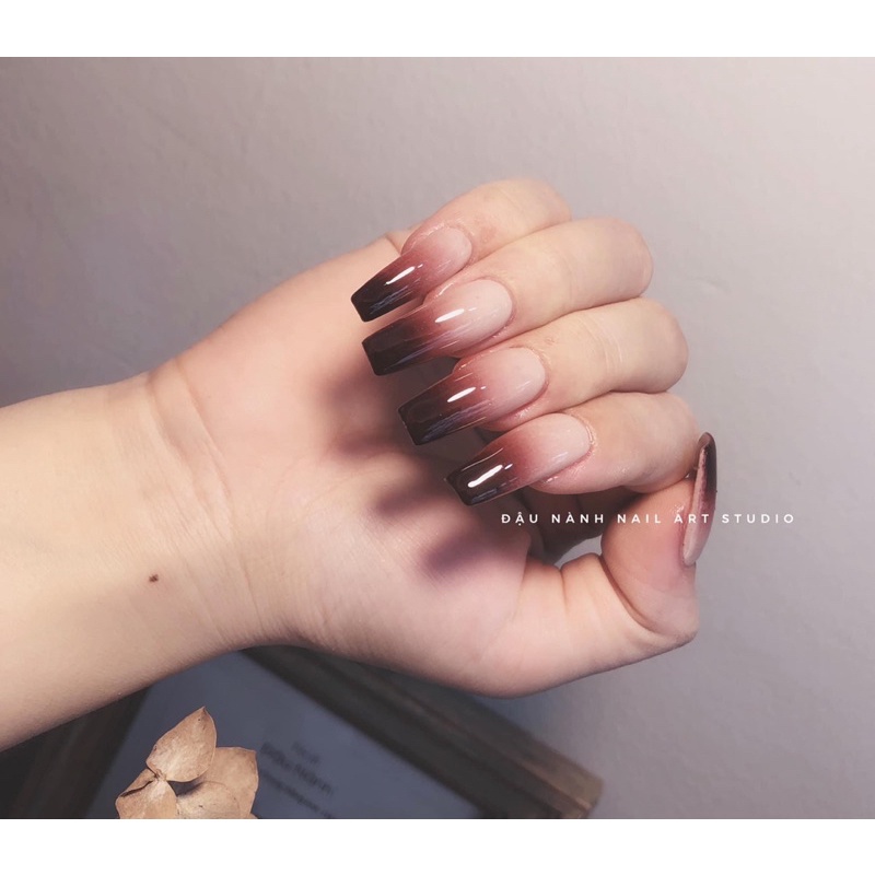 Combo Máy phun sơn Ombre Nail