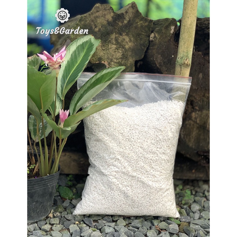 Đá Trân Châu Perlite Chất Trồng Cây Ăn Thịt Cây Bắt Mồi Giúp Cây Phát Triển Tốt, Thoán Khí Ngăn Ngừa Bệnh Thối Rể 500g