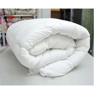 (NHẬP PUNP2019 GIẢM 50K) RUỘT CHĂN BÔNG CAO CẤP