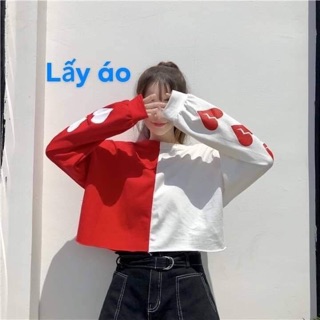 Combo 4 áo len
