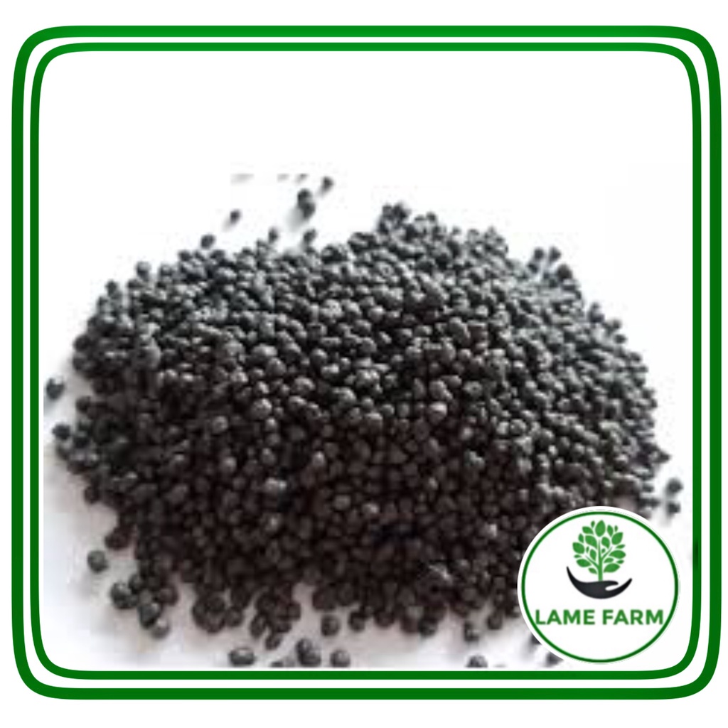 Phân Bón DAP Giúp Cây Ra Rễ, Đâm Chồi Mạnh
