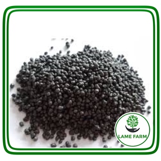 Phân bón dap giúp cây ra rễ, đâm chồi mạnh
