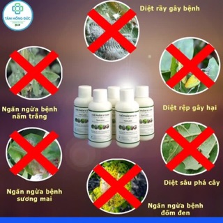 CHẾ PHẨM VI SINH P-GRO 100ml ĐẬU TƯƠNG - Giúp Cải Tạo Đất Trồng