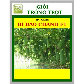 20H - Hạt Giống Bí Đao Chanh F1