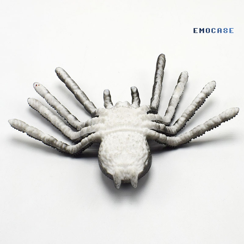 Mô Hình Côn Trùng Bằng PVC Mềm Sống Động Như Thật