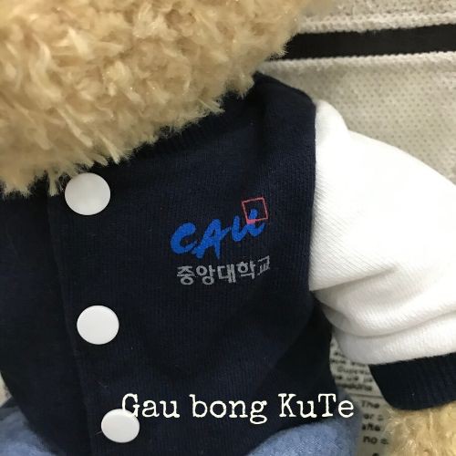 Gấu bông Teddy