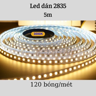 Led dán 5 mét 2835 -120led/mét