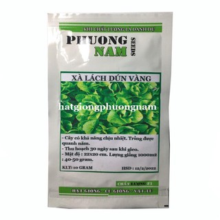 5GR - hạt giống xà lách dún vàng