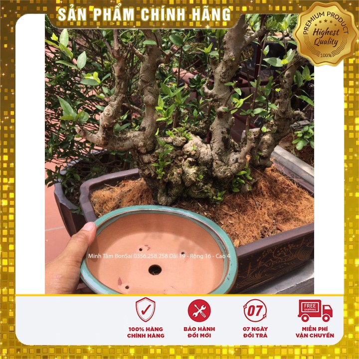 Chậu trồng Bonsai Mini Bát Tràng Minh Tâm DÀI 19 Rộng 16 Cao 4