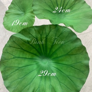 Lá sen nhựa Latex cao cấp