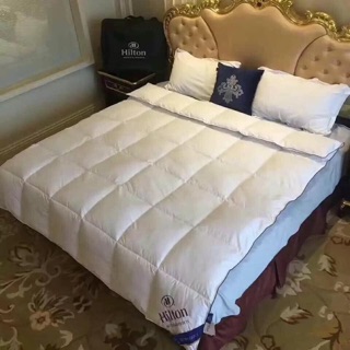 Ruột chăn lông vũ hilton kích thước 2mx2m3 nặng 2kg