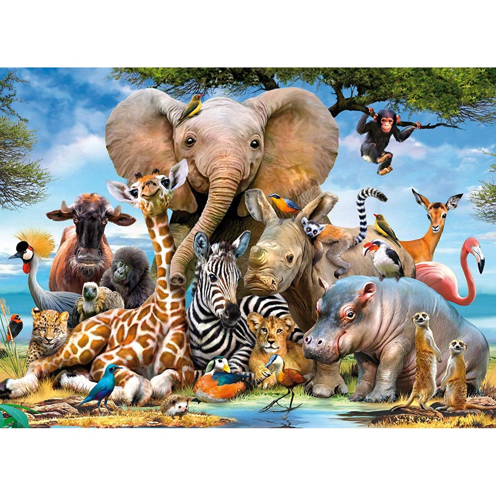 Bộ Tranh Ghép Xếp Hình 1000 Pcs Jigsaw Puzzle Thế Giới Động Vật Thú Vị Cao Cấp-H43