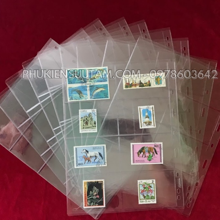 Phơi 8 ngăn trong đựng thẻ, tem thích hợp cho người sưu tầm tiết kiệm chi phí, không gian- SP001144