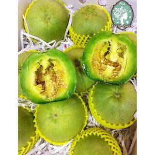 [Hạt Giống Đài Loan] Dưa Lê Xanh Cui Niu Đài Loan (Gói lẻ 5 hạt)