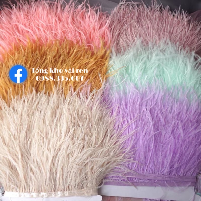 Lông đà điểu thời trang cao cấp