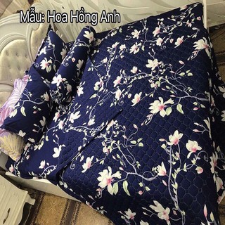 MỀN COTTON POLY HOA HỒNG ANH