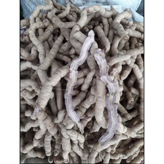 BA KÍCH TÍM TƯƠI 1KG