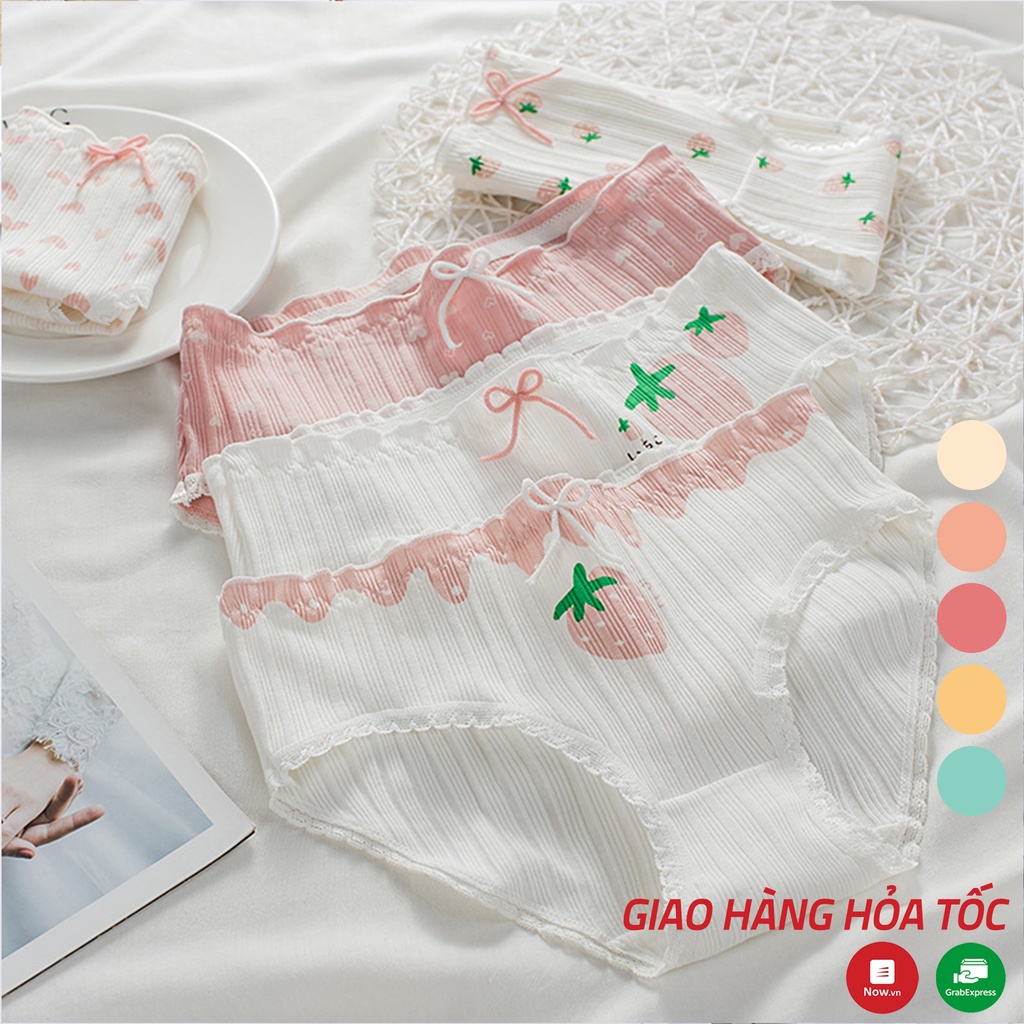 Quần lót nữ Cotton gân tăm co dãn họa tiết dâu nơ siêu dễ thương lót kháng khuẩn cao cấp - Xuu Design QC31 | WebRaoVat - webraovat.net.vn