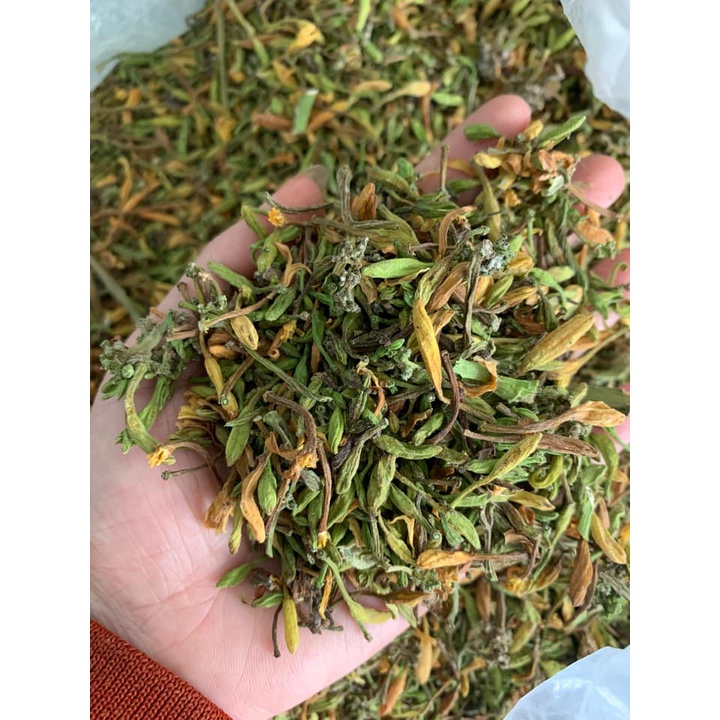 Trà túi lọc Hoa đu đủ đực vị MIX - Đặc sản Sơn La