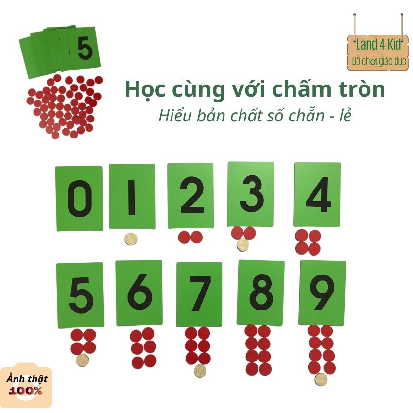 Đồ chơi giáo dục sớm - Giáo cụ Montessori - Đồ chơi cho bé bằng gỗ - Bộ thẻ số nhám từ 0 đến 9 MR2 Land4Kid