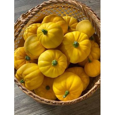 HẠT GIỐNG BÍ NGÔ BABY VÀNG VÀ TRẮNG F1 NHẬP KHẨU NGUYÊN BAO BÌ THÁI LAN