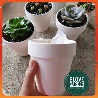 (11x11cm) Chậu đất nung vành miệng trắng xinh xắn trồng cây cảnh để bàn, cây cảnh mini, sen đá, xương rồng