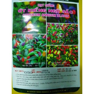 Hạt giống ớt kiểng ngũ sắc