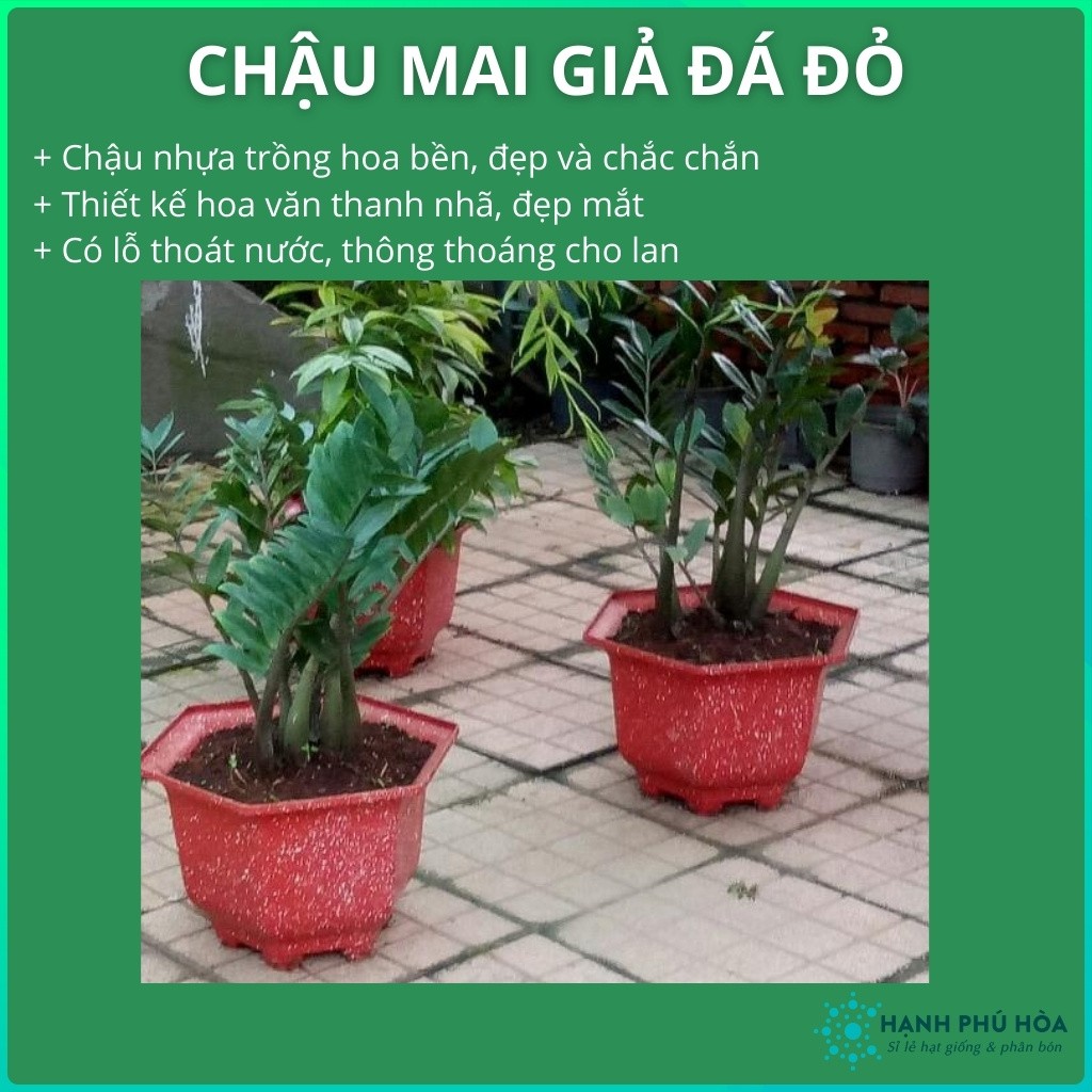 Chậu Mai Đỏ Giả Đá 210-280 -Trồng Hoa Lan, Cây Kiểng - Chậu Nhựa , Đẹp, Nhẹ, Chắc Chắn