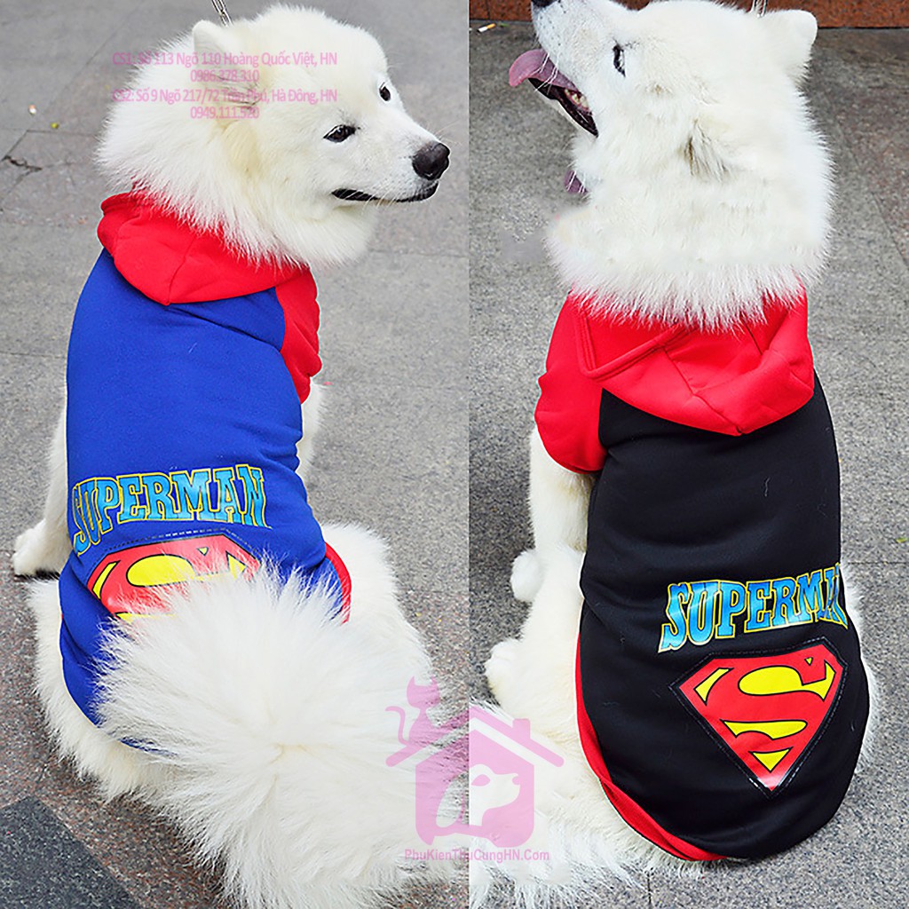 Áo Supper Man dành cho thú cưng từ 1-40kg - Phụ kiện chó mèo Pet Shop Hà Nội