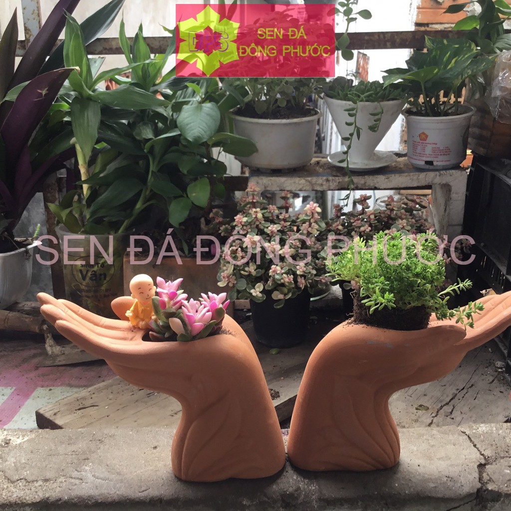 CHẬU ĐẤT NUNG HÌNH BÀN TAY - chậu trồng tiểu cảnh sen đá, xương rồng, cây phong thuỷ văn phòng đẹp