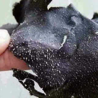 Gel lột mụn Than tre Hoạt tính Lê Thanh