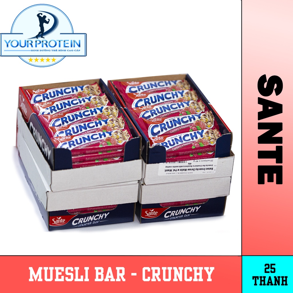 SANTE Thanh Ngũ Cốc Giòn CRUNCHY BAR Vị Việt Quất và Mâm Xôi Phủ Vani [BBE 6/2022]