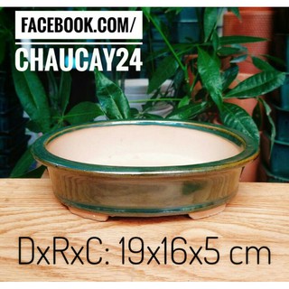 chậu  bonsai  hàng  bát tràng  cao cấp  ! hình  bầu  dục  nhé  .