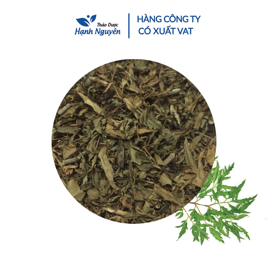 Lá đinh lăng khô 1kg (Trà đinh lăng thanh lọc cơ thể, hỗ trợ mất ngủ) - Thảo Dược Hạnh Nguyên