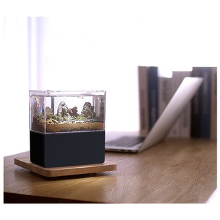 Bể cá mini thủy sinh để bàn làm việc