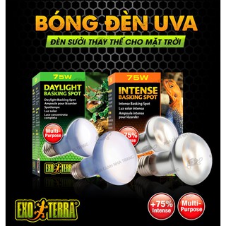 ĐÈN UVA EXO-TERRA ĐÈN SƯỞI THAY THẾ MẶT TRỜI