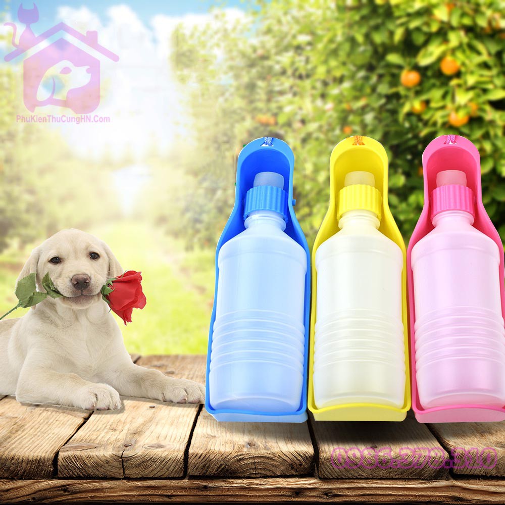 Bình nước du Lịch YOMMY 300ml cho chó mèo - Phụ kiện thú cưng Hà Nội